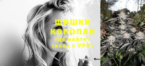 apvp Алзамай