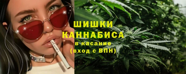 индика Абдулино