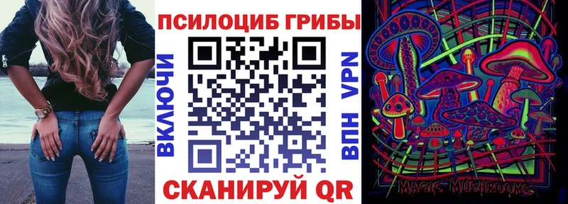 МЕГА как войти Советский Галлюциногенные грибы Magic Shrooms