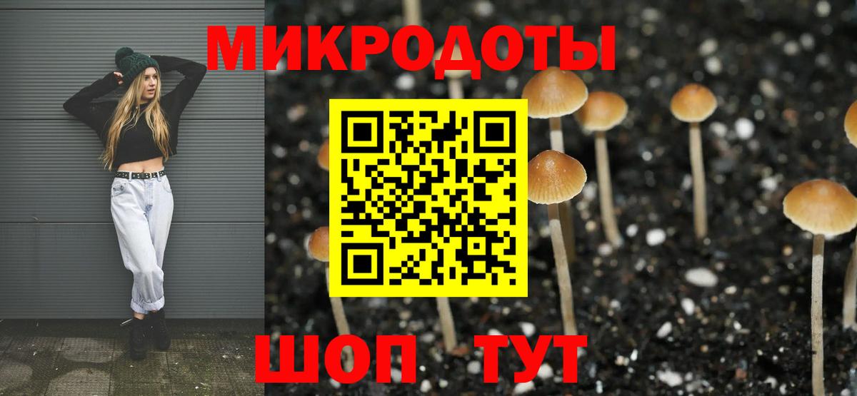 Псилоцибиновые грибы прущие грибы  Галлюциногенные грибы Psilocybine cubensis  Вход с VPN  Советский 